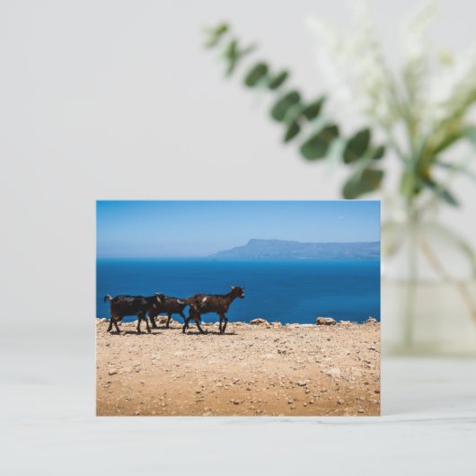 Kreta 8 postkarte (Stehend Vorderseite)