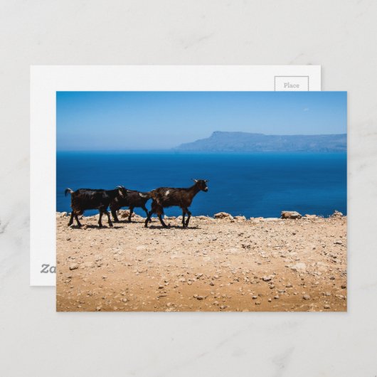 Kreta 8 postkarte (Vorne/Hinten)