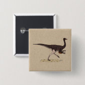 Kretakischer Dinosaurier Ornithomimus Button (Vorne & Hinten)