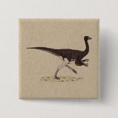 Kretakischer Dinosaurier Ornithomimus Button (Vorderseite)