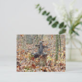 Kreuz im Wald Postkarte (Stehend Vorderseite)