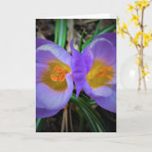 Kreuz, Karte (Gelbe Blume)