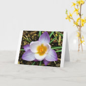 Kreuz, Karte (Gelbe Blume)