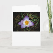 Kreuz, Karte (Vorderseite)