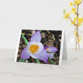 Kreuz, Karte (Gelbe Blume)