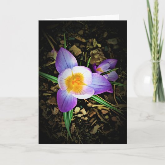 Kreuz, Karte (Vorderseite)