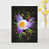 Kreuz, Karte (Gelbe Blume)