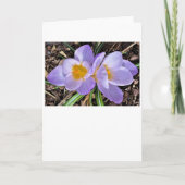 Kreuz, Karte (Vorderseite)