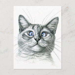 Kreuz Mit Augen Katze G122 Postkarte