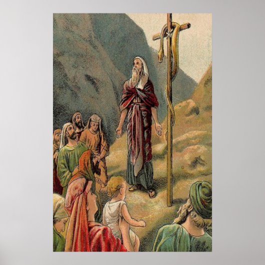 Kreuz mit toter Schlange Poster (Vorne)