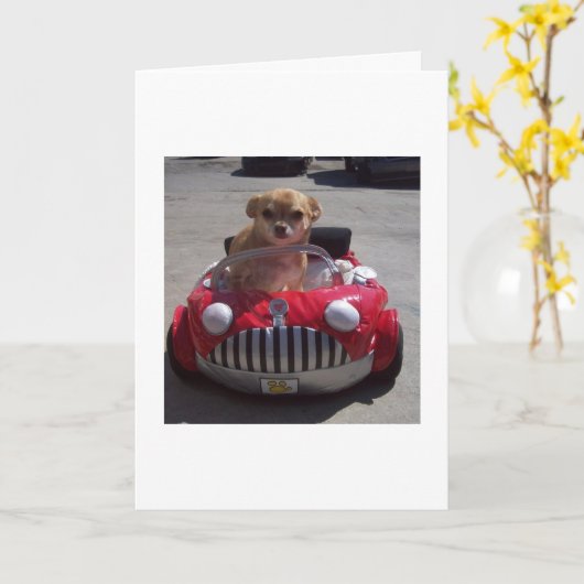 Kreuzen durch Karten (Gelbe Blume)