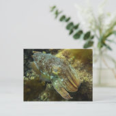 Kreuzfahrt Riesenfisch Postkarte (Stehend Vorderseite)