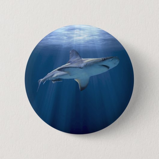 Kreuzfahrtschiff Button (Vorderseite)