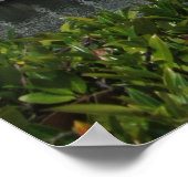 Kreuzfahrtschiff in Vancouver, B.C. Kanada Poster (Ecke)