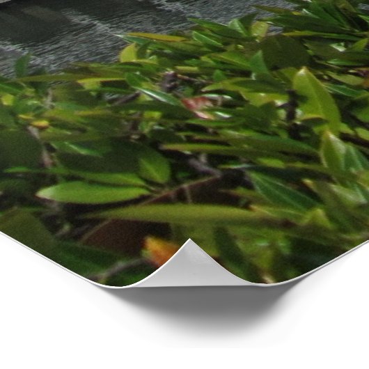 Kreuzfahrtschiff in Vancouver, B.C. Kanada Poster (Ecke)