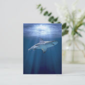 Kreuzfahrtschiff Postkarte (Stehend Vorderseite)