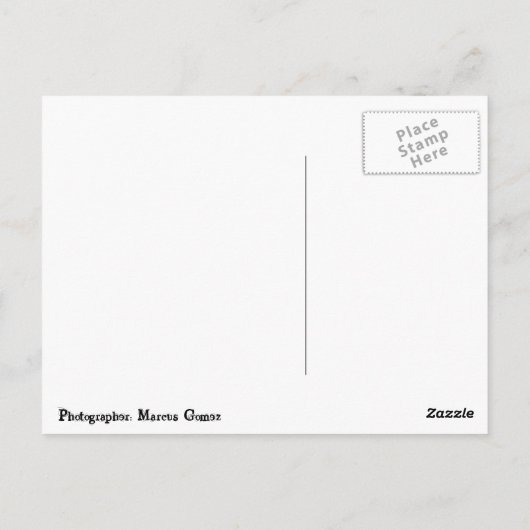 Kreuzfahrtschiffe im Hafen Postkarte (Rückseite)