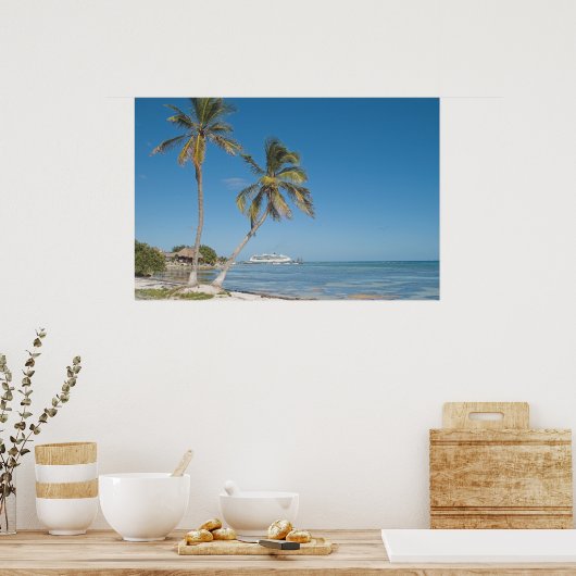 Kreuzfahrtschiffe in Costa Maya Poster (Küche)