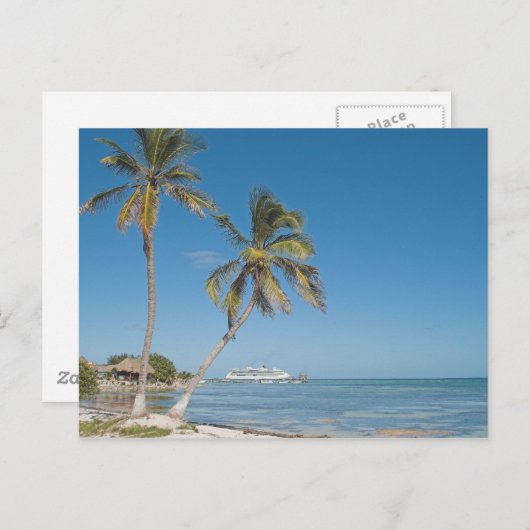 Kreuzfahrtschiffe in Costa Maya Postkarte (Vorne/Hinten)