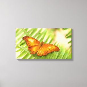 Kreuzschmetterling Leinwanddruck