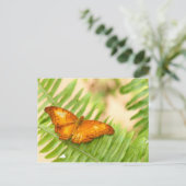 Kreuzschmetterling Postkarte (Stehend Vorderseite)