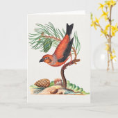 Kreuzschnabel-Vogel, Karte (Gelbe Blume)
