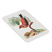 Kreuzschnabel-Vogel, Magnet (Rechte Seite)