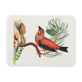 Kreuzschnabel-Vogel, Magnet (Horizontal)