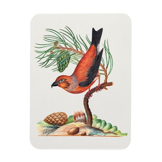 Kreuzschnabel-Vogel, Magnet (Vertikal)