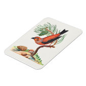 Kreuzschnabel-Vogel, Magnet (Linke Seite)