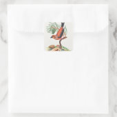 Kreuzschnabel-Vogel Quadratischer Aufkleber (Tasche)