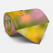 Kreuzspinne auf ihrem Cobweb Krawatte (Gerollt)