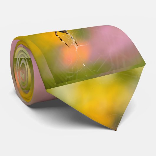 Kreuzspinne auf ihrem Cobweb Krawatte (Gerollt)