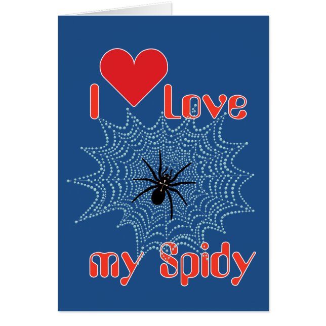 Kreuzspinne im Netz (Vorne)