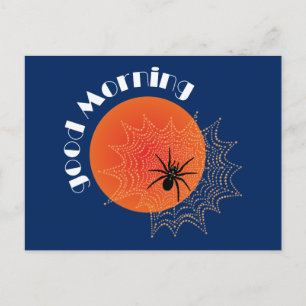 Kreuzspinne im Netz bei Sonnenaufgang Postkarte