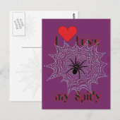 Kreuzspinne im Netz Postkarte (Vorne/Hinten)