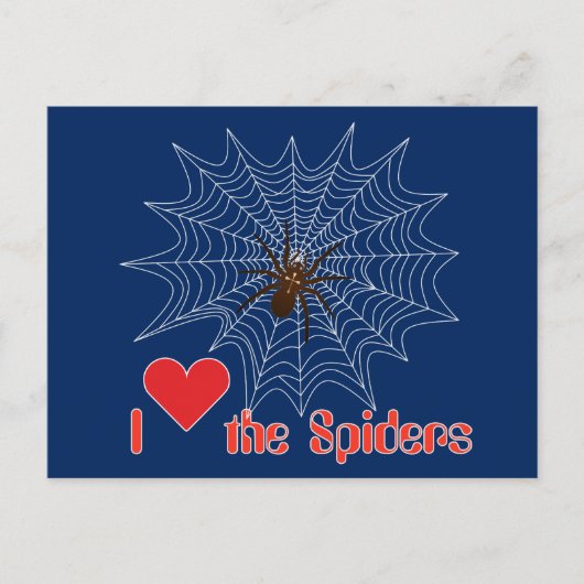 Kreuzspinne im Netz Postkarte (Vorderseite)