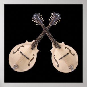KREUZTE MANDOLINS-POSTER POSTER