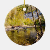 Kreuzung des Circle Ornament Buffalo (Hinten)