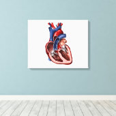 Kreuzung des menschlichen Herzens Leinwanddruck (Insitu (Holzboden))