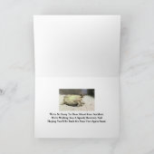 KREUZUNG, DIE ÜBER IHREN UNFALL/HUMO GEDREHT WIRD KARTE (Innenseite)