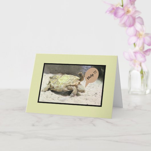 KREUZUNG, DIE ÜBER IHREN UNFALL/HUMO GEDREHT WIRD KARTE (Orchidee)