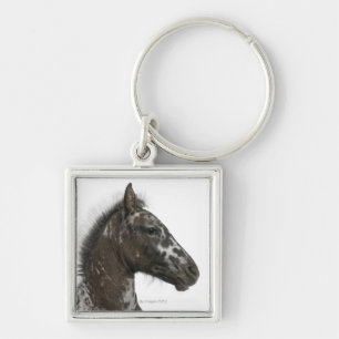 Kreuzung Fohlen zwischen einem Appaloosa und einem Schlüsselanhänger