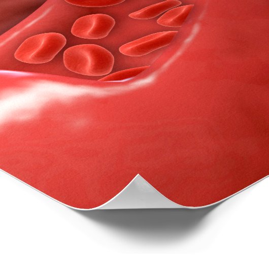 Kreuzung mit rotem Blutkörperchen Poster (Ecke)