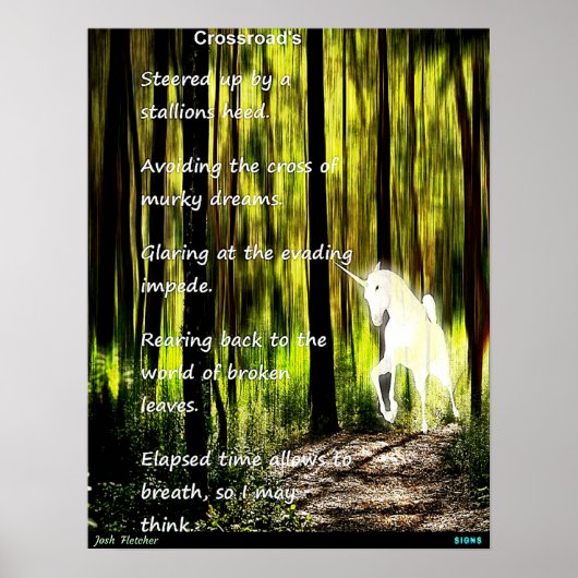 Kreuzung Poster (Vorne)