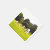 KRICKE SERVIETTE (Ecke)