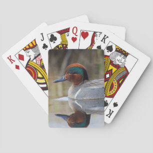 Krickente Spielkarten
