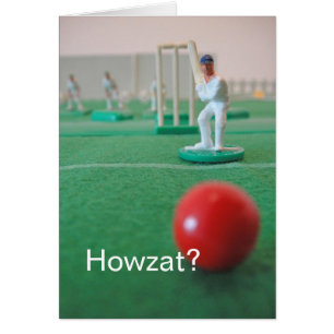 Kricket 'Howzat? '