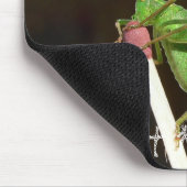 Kricket-Match-Mäusematte Mousepad (Ecke)
