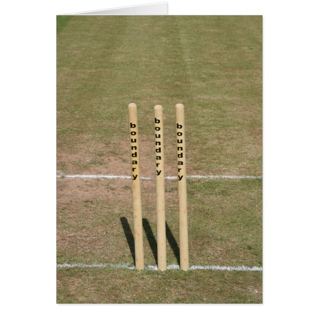 Kricket rieb bei Bickleigh, Devon, Großbritannien (Vorne)
